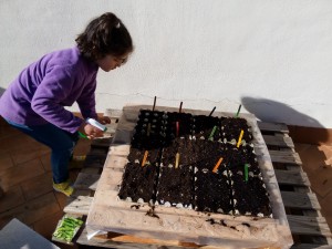 Mi hija ayudando a cuidar y regar los semilleros