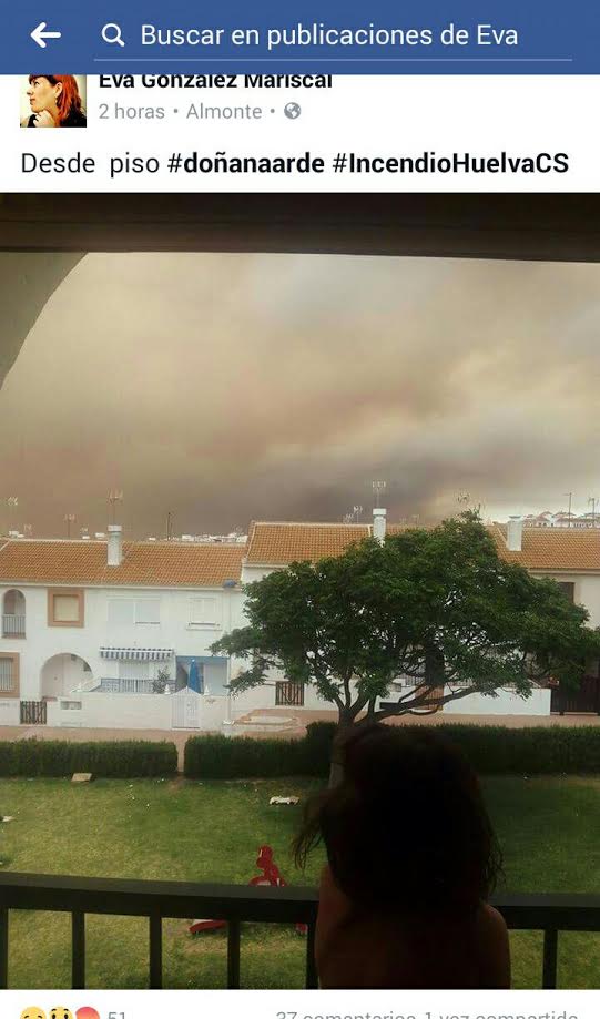 Columnas de humo del incendio de Doñana